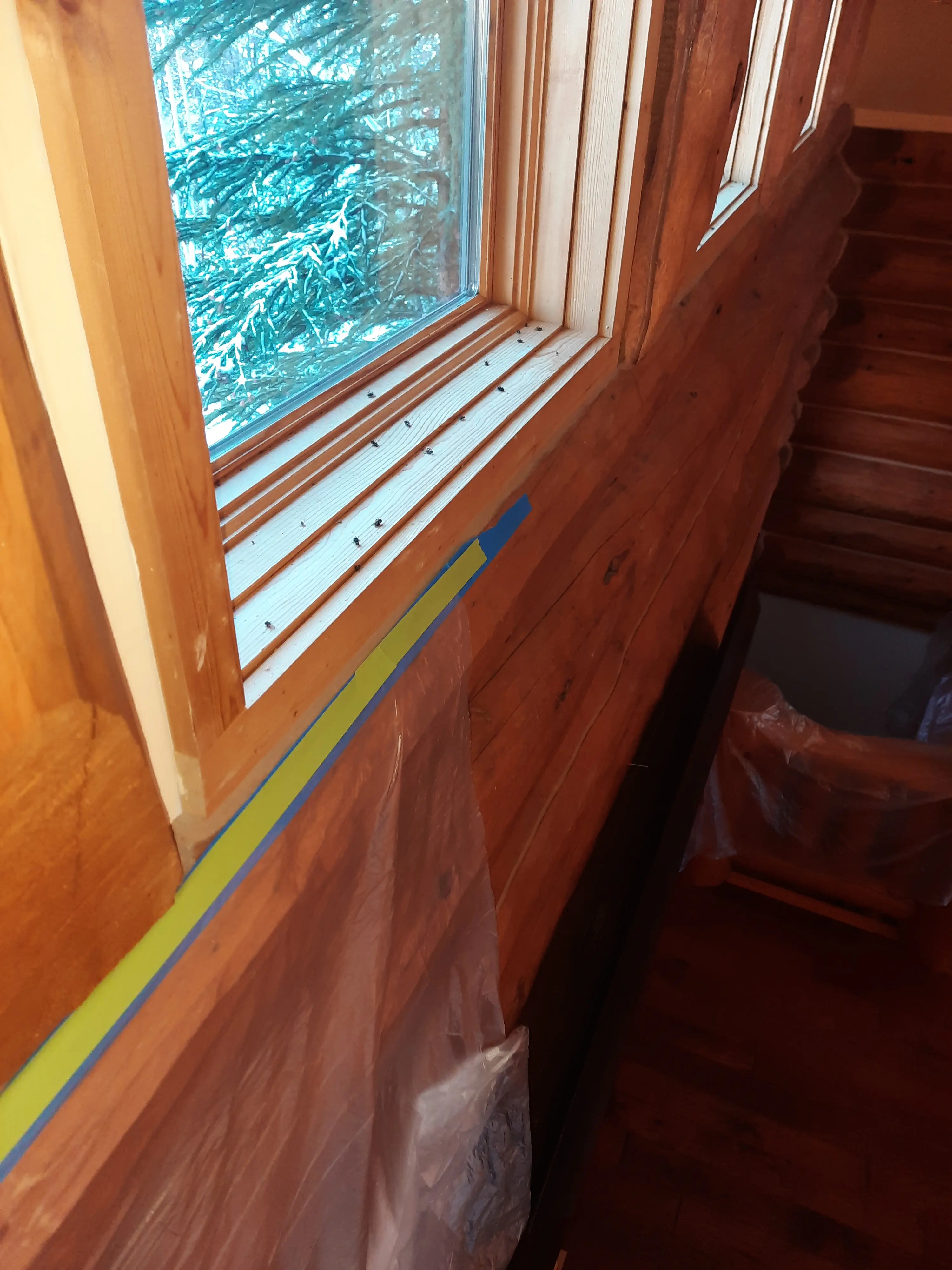 Carbondale Interior — Alpine Color Craft