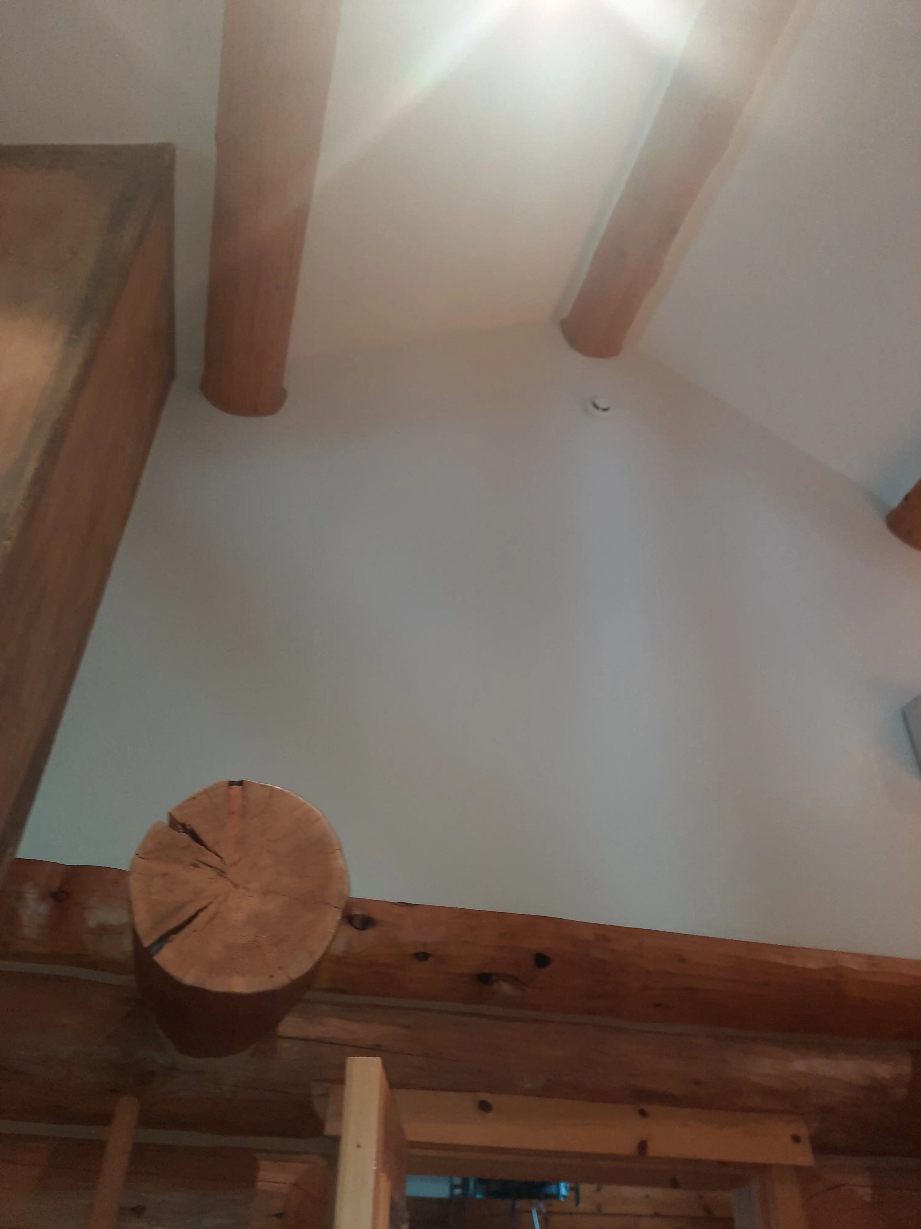 Carbondale Interior — Alpine Color Craft